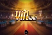 review vinwin